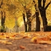 Scad temperaturile în Banat. Prognoza meteo pentru următoarele două săptămâni