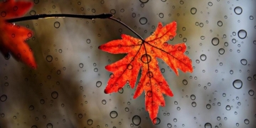 Gata cu zilele însorite! De când vin ploile în Banat