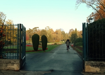 În sfârșit, se poate circula prin Parcul Botanic