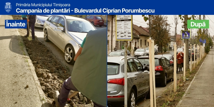 Spații verzi civilizate între trotuare și carosabil, la Timișoara. Ce măsuri ia primăria
