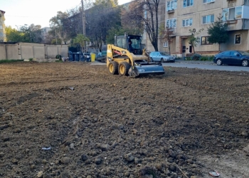 Apar noi spații verzi în cartierele din Timișoara