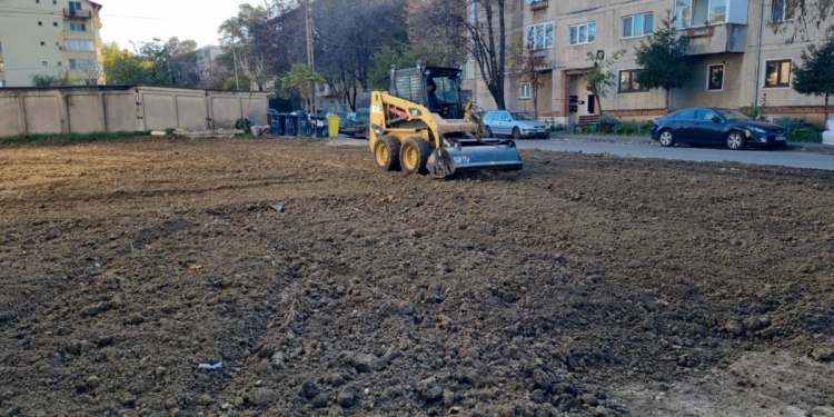 Apar noi spații verzi în cartierele din Timișoara