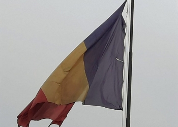 Steaguri rupte înlocuite de Primăria Timișoara după un semnal de alarmă tras de subprefectul Ionescu