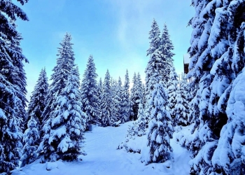 Peisaje de poveste! A venit iarna în Banat