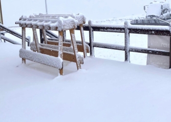 Prima ninsoare din Banat! Un strat gros de zăpadă s-a așternut nu departe de Timișoara