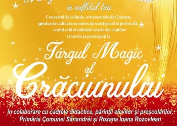 Târgul magic al Crăciunului, la Sânandrei