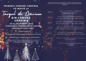 Când se deschide Târgul de Crăciun din Cărpiniș