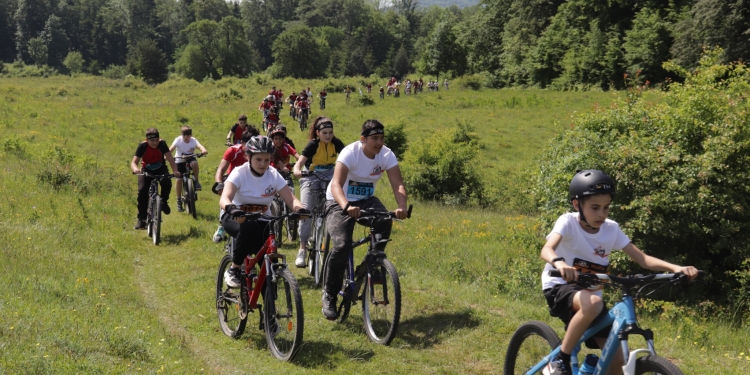 Finanțări nerambursabile pentru promovarea mersului pe bicicletă și educație rutieră în vestul țării