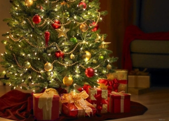 Pompierii din Timiș, sfaturi utile privind amplasarea bradului pentru un Crăciun în siguranță