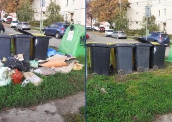 Aproape 400 tone de gunoaie adunate de pe străzile Timișoarei în mai puțin de o lună