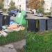 Aproape 400 tone de gunoaie adunate de pe străzile Timișoarei în mai puțin de o lună