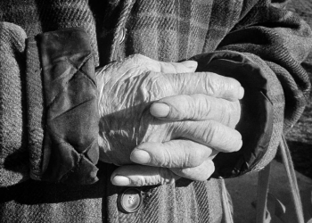 Sprijin pentru familiile cu venituri mici, de la „Verde pentru suflet”. Fiecare poate contribui