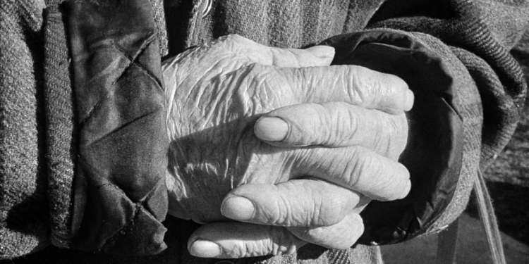 Sprijin pentru familiile cu venituri mici, de la „Verde pentru suflet”. Fiecare poate contribui