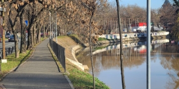 Malul Begăi va fi mai verde. Primăria Timișoara a plantat peste o mie de arbuști