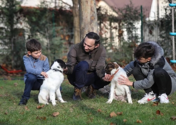 Șeful CJ Timiș a adoptat două cățelușe: Cred că un animal de companie nu trebuie să fie de rasă ca să aducă bucurie într-o casă