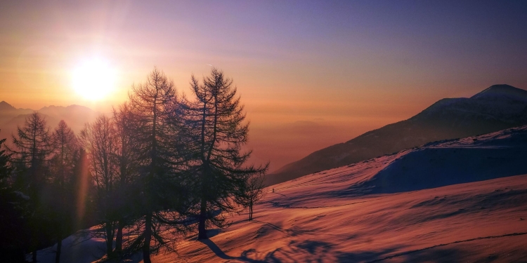 Vreme de primăvară la început de an, în Banat! Termometrele vor arăta și 14 grade Celsius