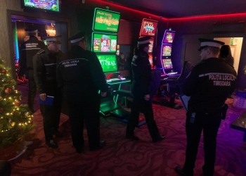 Polițiștii locali au plecat pe urmele „chiulangiilor” din Timișoara