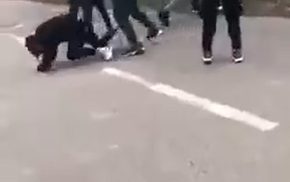 VIDEO Bătaie cruntă între elevi, în vestul țării