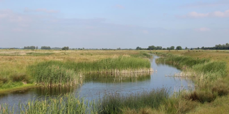 Un tronson de pe râul Bega Veche va fi pus în valoare cu bani europeni