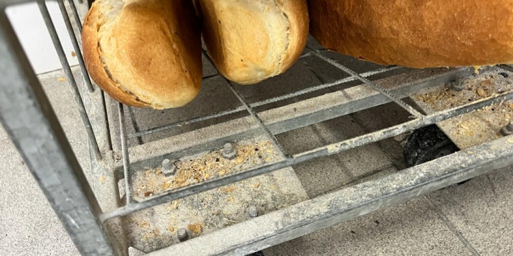 Brutărie din Piața Doina, închisă de OPC Timiș. Nereguli uriașe descoperite FOTO