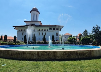 Zona Dacia, transformată radical. Primăria Timișoara începe proiectarea