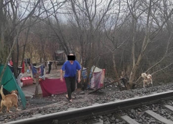 Timișoara – Capitală Europeană a Culturii! Polițiștii locali au descoperit colibe improvizate și focare de infecție