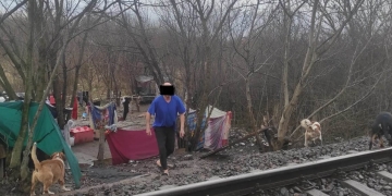 Timișoara – Capitală Europeană a Culturii! Polițiștii locali au descoperit colibe improvizate și focare de infecție