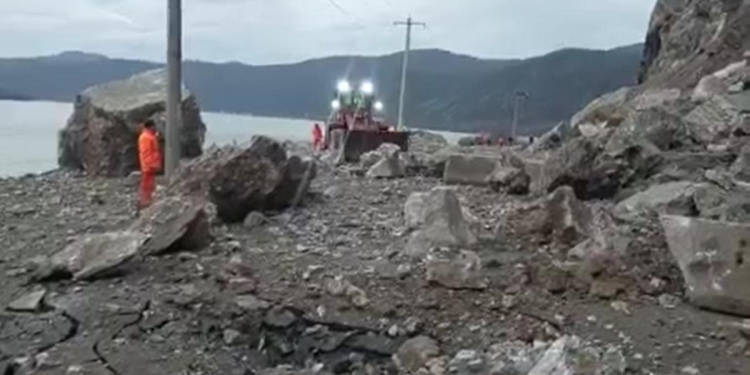 VIDEO Drumuri blocate și copaci căzuți! Bilanțul avertizărilor meteo din vestul țării