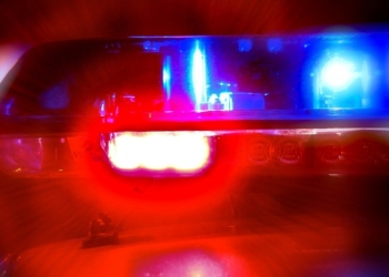 A băut și apoi a luat pomul în brațe. Cu tot cu mașină