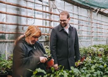 Primăria Timișoara vrea să aloce mai mulți bani pentru spațiile verzi FOTO