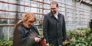 Primăria Timișoara vrea să aloce mai mulți bani pentru spațiile verzi FOTO