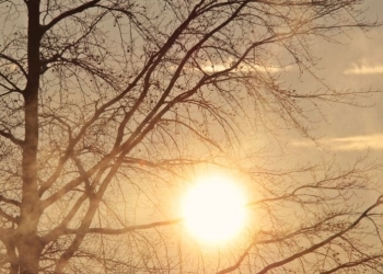 Început de an cu vreme de primăvară în vestul țării. Prognoza meteo pentru următoarele două săptămâni