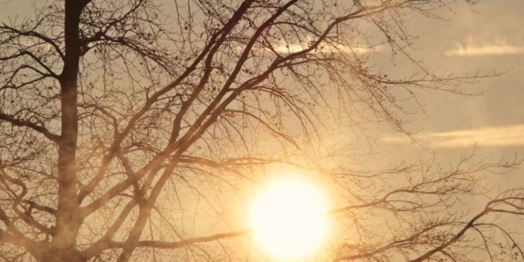 Început de an cu vreme de primăvară în vestul țării. Prognoza meteo pentru următoarele două săptămâni
