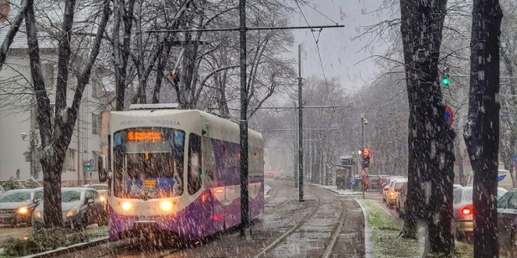 A căzut prima zăpadă la Timișoara. Primăria se laudă că este pregătită să intervină