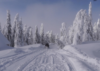 Avertizare meteo! Ploi în zona de vest a țării, ninsoare și viscol la munte