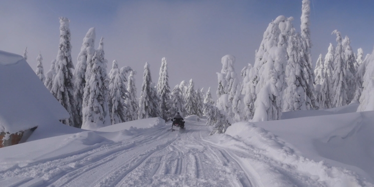 Avertizare meteo! Ploi în zona de vest a țării, ninsoare și viscol la munte