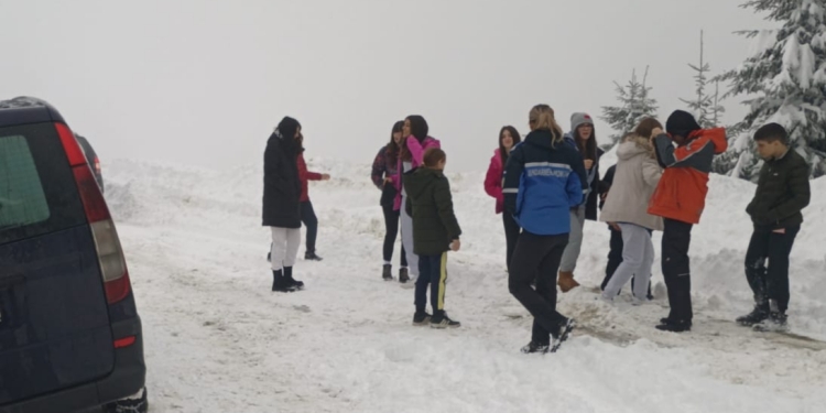 Copii din Timișoara, scoși dintr-o râpă de pe Muntele Mic, de jandarmi