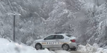 VIDEO. ”Stai, Poliția! Topește-te!”. Zăpada, ”indisciplinată” în Caraș-Severin