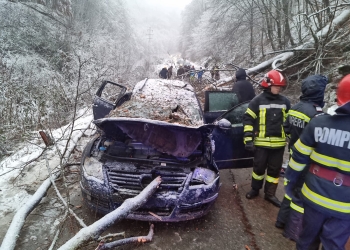 Accident dramatic la Reșița. Copil mort, după ce un copac a cazut pe mașina în care se afla