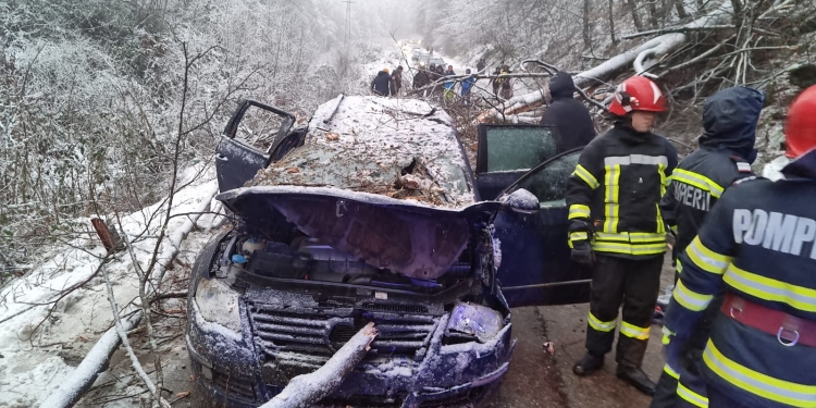Accident dramatic la Reșița. Copil mort, după ce un copac a cazut pe mașina în care se afla