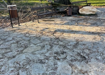 Parcul Brătianu din Timișoara, dat uitării!