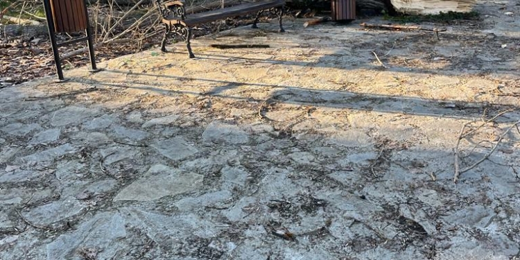 Parcul Brătianu din Timișoara, dat uitării!