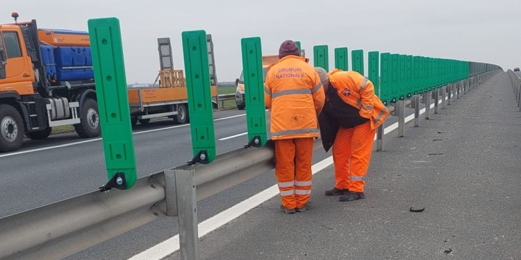 Balize antiorbire montate pe autostrada A1, în județul Timiș