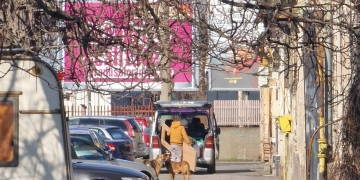 Stadiul proiectului privind realizarea primului adăpost municipal pentru câini la Timișoara