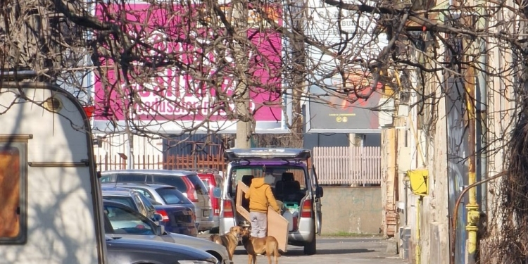 Stadiul proiectului privind realizarea primului adăpost municipal pentru câini la Timișoara