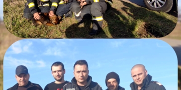 Trei căței, salvați de pompierii din Timiș dintr-un canal