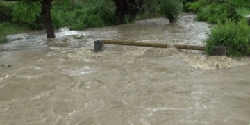 Cod portocaliu de inundații pe râurile Bega și Timiș