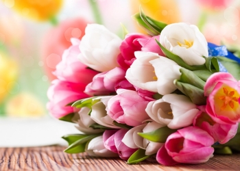 Primăria Timișoara a avizat 24 de locații din care se pot vinde flori pentru Ziua Femeii