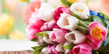 Primăria Timișoara a avizat 24 de locații din care se pot vinde flori pentru Ziua Femeii