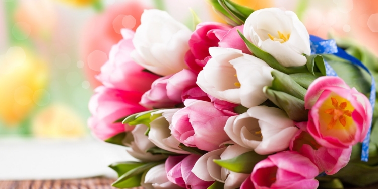 Primăria Timișoara a avizat 24 de locații din care se pot vinde flori pentru Ziua Femeii